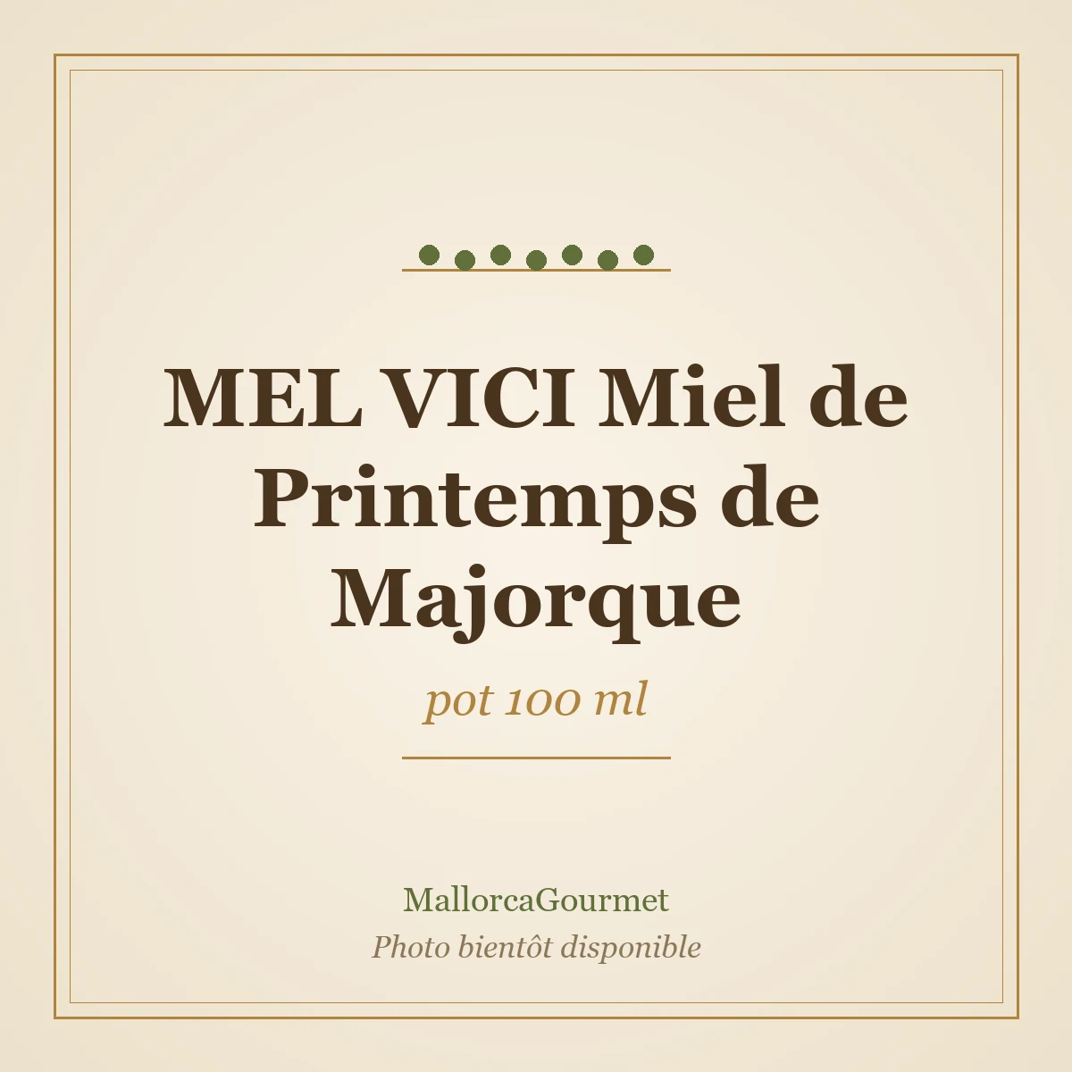 MEL VICI Miel de Printemps de Majorque (pot 100 ml)